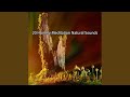 Natures Nourishing Song 