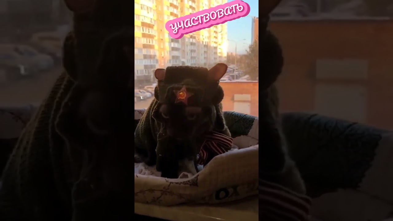 Цезарёнок Домовёнок. Мир!Труд!Май!