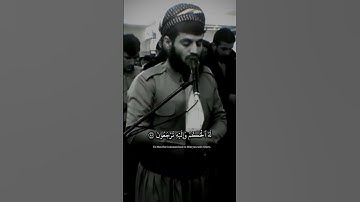 رعد الكردي سورة القصص #رعد_الكردي #سورة_القصص  #قرآن_كريم #القرآن #raadalkurdy #الله #ڕەعد_کوردی