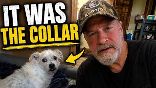 A Sick Dog, An Old Truck, And A Lesson About Life