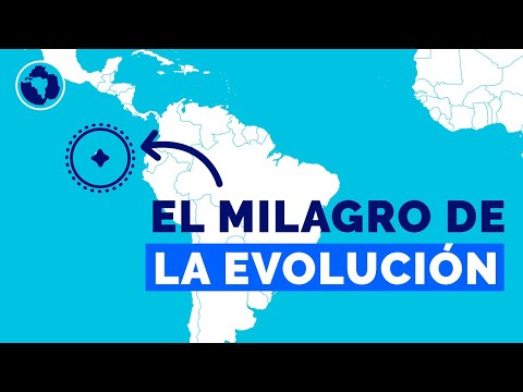 Video: ¿Dónde se encuentran las islas Galápagos?