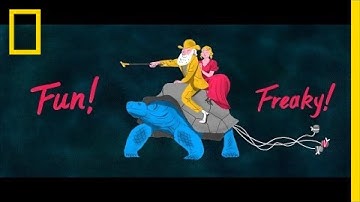 Experiencing the Galápagos Through a Phone Call Home | Short Film Showcase