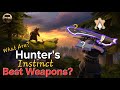 What Are Hunters Instinct Best Weapons?/Best Mods? (Ldoe) How many points to level 30?