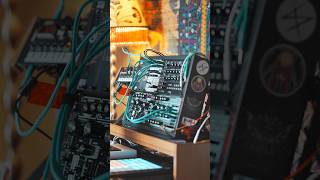 First ride with Dreadbox Nyx, Erebus & Moog Mavis. #analog #synth #ambient