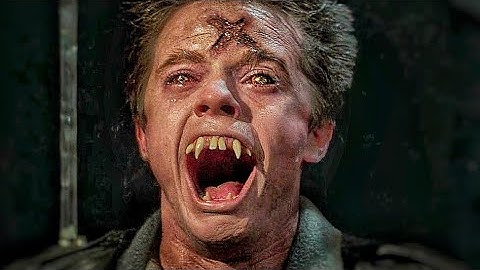 フライトナイト（1985年）の映画レビュー｜映画レビュー｜映画レビュー