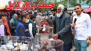 گزارش ضیا صالحی از جمعه بازار سرچوک/Zia report of chawk kabul