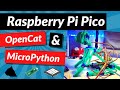 Raspberry Pi Pico, OpenCat and MicroPython
