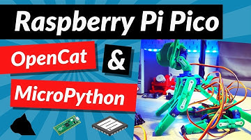 Raspberry Pi Pico, OpenCat and MicroPython