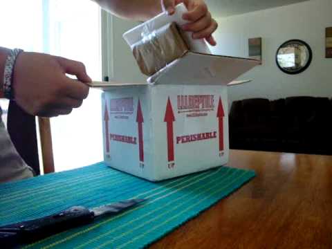 baby Ball From LLL Reptiles - YouTube
