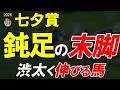 七夕賞2026全頭診断｜主役は勝負どころで動けるのか 福島芝2000mで景色が変わる全22頭徹底考察【七夕賞予想】
