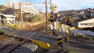 1097レ　EF66－131サメ
