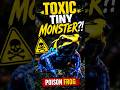 POISON FROG Tiny But DEADLY! #shorts