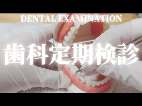 【ASMR】歯科定期検診　Dental examination【音フェチ】