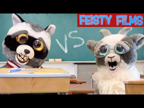 Feisty Pets vs. Teachers Compilation!