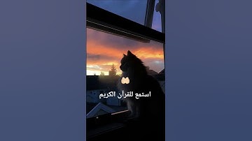 اكتب شيء تؤجر عليه يوم القيامة 😴❤️#قران_كريم #اللهم_صل_وسلم_على_نبينا_محمد #ارح_قلبك #آيات_الرحمة