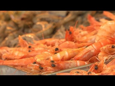 Crevettes : les nouvelles stars de la grillade - enquète reportage
