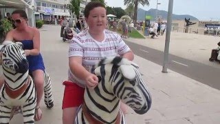 Zebra Racing?!?! Cala Bona 2015