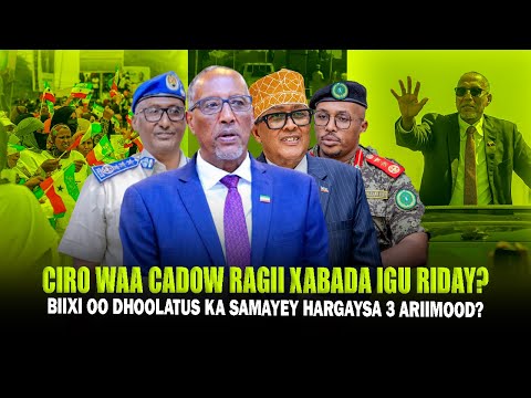 Xog Muuse Biixi Ragii Xabada Igu Riday Waa Cadowga Cirro Dhoolatuska Hargeisa 3 Arimood Ku Qarsoon 