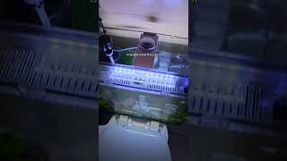 Dp you have any other questions? #viral #DIY #fishtok