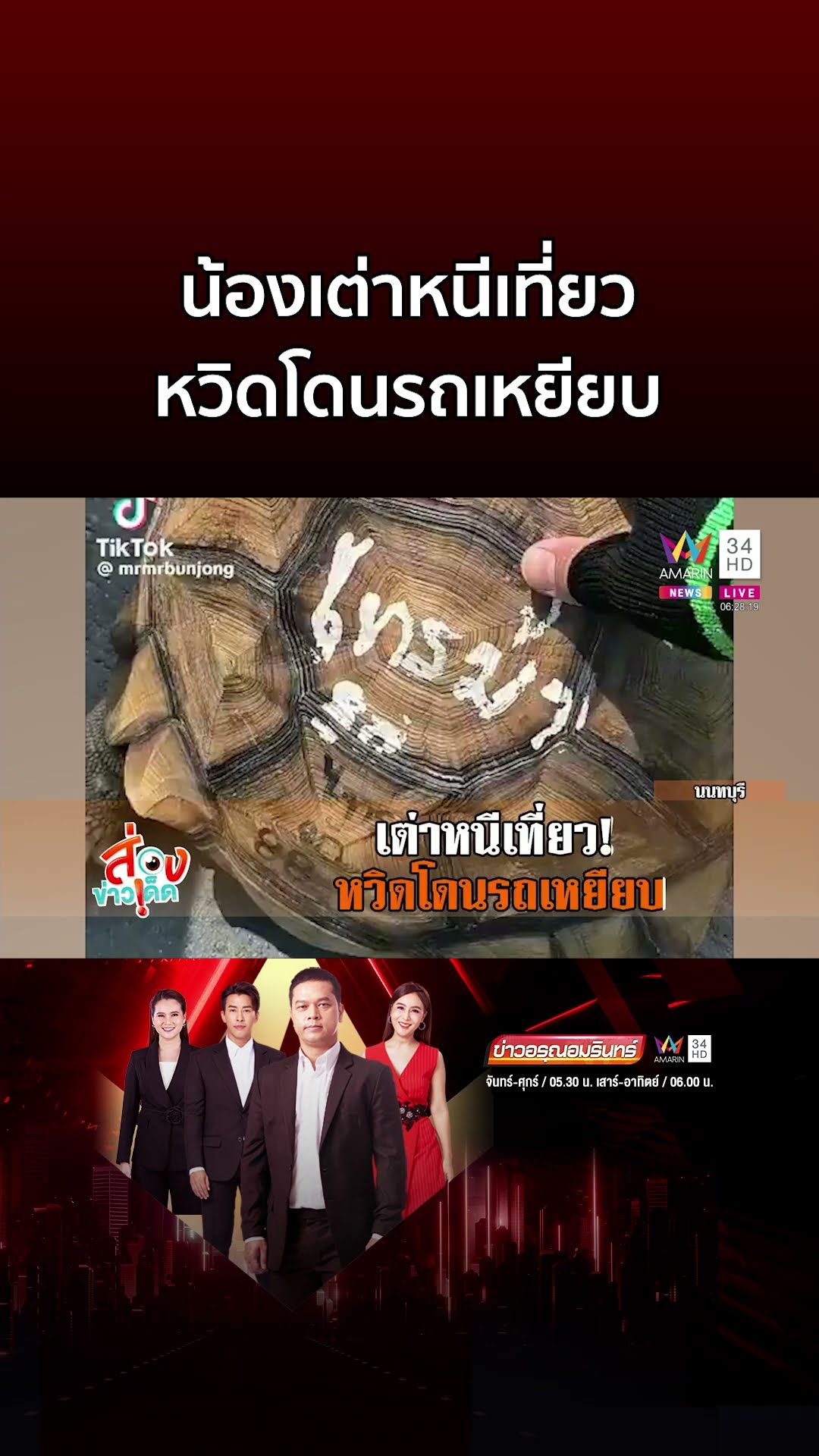เต่าหนีเที่ยว หวิดโดนรถเหยียบ พลเมืองดีตามเจ้าของมารับกลับบ้าน | ข่าวอรุณอมรินทร์