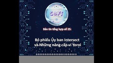 Bản tin số 25:  Bỏ phiếu Ủy ban Intersect và Những nâng cấp ví Yoroi