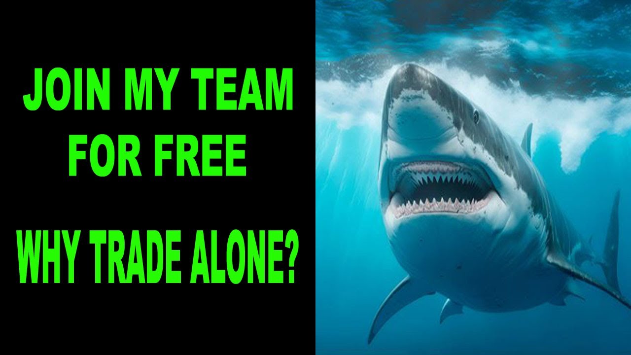 VISIT OUR FREE NQ & ES FUTURES TRADE ROOM - SEE THE DAILY POSITIVE RESULTS! www.tradewithsteven.com