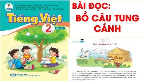 TIẾNG VIỆT LỚP 2. TUẦN 19: BÀI ĐỌC 2. BỒ CÂU TUNG CÁNH. SÁCH CÁNH DIỀU.