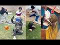 Waleed Vs Bat Man Fighting Monkey Ny Kabotar Mar Dala 