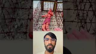 अगर india me कानून japan ki tarah hota#shortvideos #subscribe #live