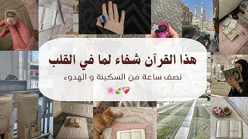 نصف ساعة من السكينة | تلاوة تهدئ القلب 🌿