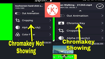 if chroma key is not showing in your kinemaster ( in English Language) , By Tech Moralizer