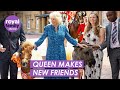 Queen Camilla Strokes Adorable Animals at Buckingham Palace