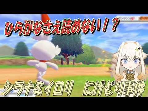 【切り抜き】ついにひらがなも読めなくなったシラナミイロリ　(逃げ鳥事件)