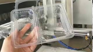 PP plastic container tray lunch box lid thermoforming machine screenshot 3