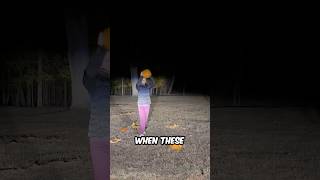 They Didn’t Expect To See It In The Forest 😱