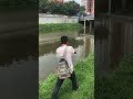 #fishing