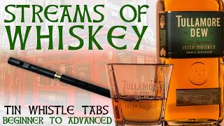 Download Lagu Streams Of Whiskey (The Pogues) BEGINNER TO ADVANCED Tin Whistle Tabs Tutorial MP3 Download Lagu Streams Of Whiskey (The Pogues) BEGINNER TO ADVANCED Tin Whistle Tabs Tutorial MP3