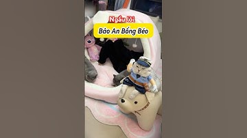 😾 Bống Béo Làm Bảo Vệ Canh Giữ 👀 #Mèoúớ #thúcưng #vậtnuôi #chómèohàihước #shorts