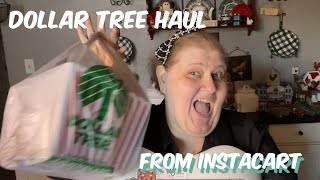 Dollar Tree Haul From Instacart