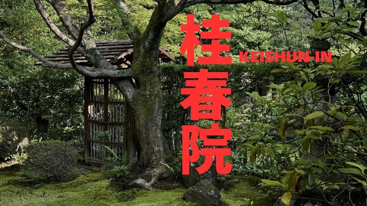 京都紅葉 🍁 大原 実光院〜 美しく色づいた契心園と旧理覚院庭園
