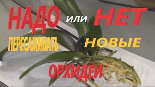:      ""  "".