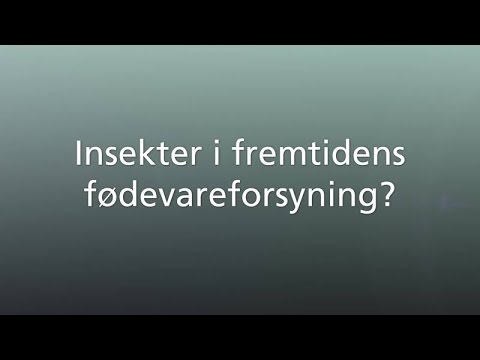 Video: Insekter Kan Forårsage Verdenssult - Alternativ Visning