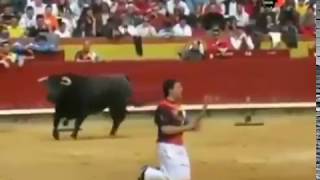 Torero Nivel Dios