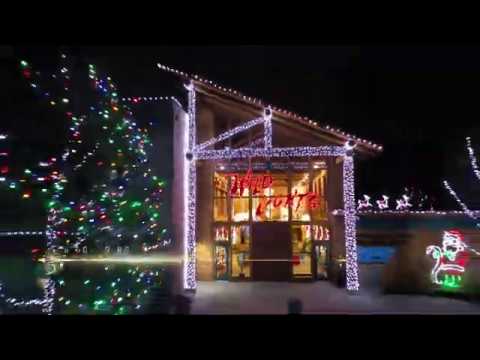 Akron Zoo Wild Lights