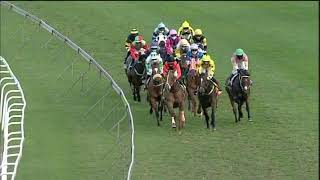 Vidéo de la course PMU PRIX HOLLYWOODBETS BRIGHT FUTURE MAIDEN PLATE