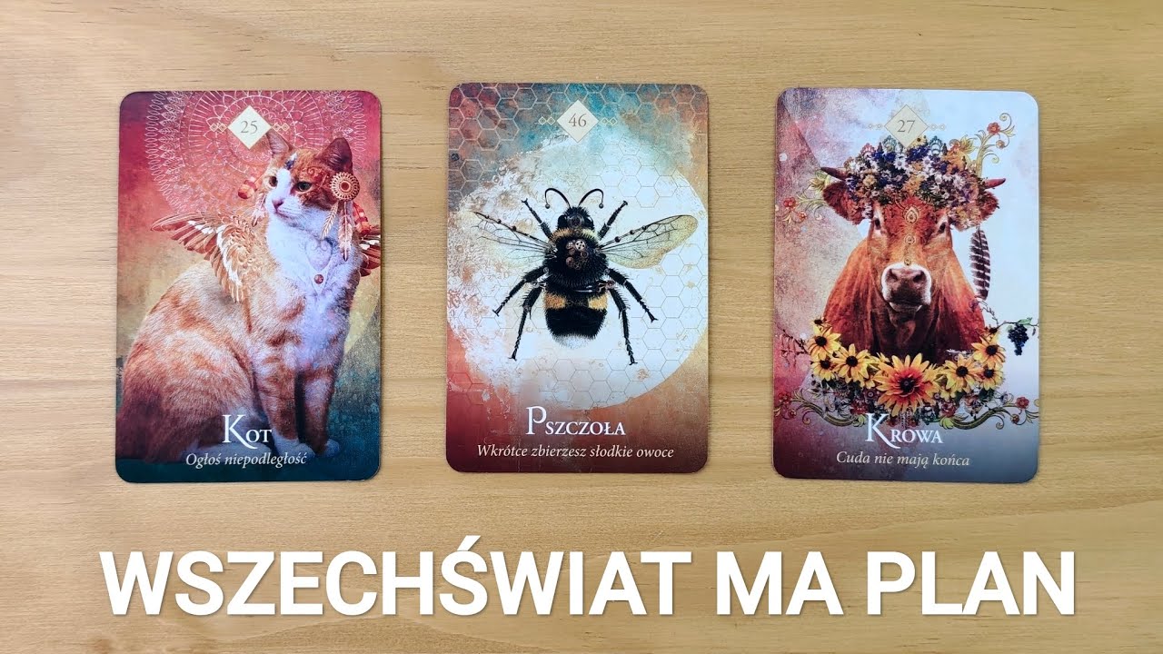 ✨ Jaki plan ma Wszechświat dla Ciebie? Co przyspiesza? Wybierz kartę ✨🔮