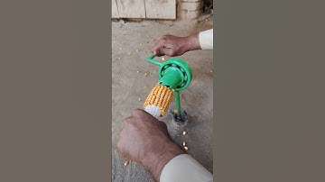 Super Fast Gadget Removes Corn Instantly! 🌽⚡ #shorts