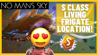 How To Find The Best S Class Living Frigate | No Mans Sky Endurance Update 2022