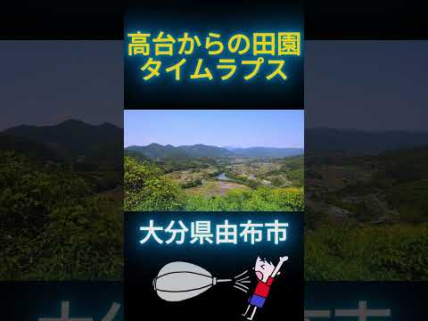 高台からの田園タイムラプス（大分県由布市）#shorts