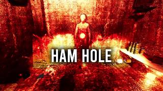 HAM HOLE Short GamePlay